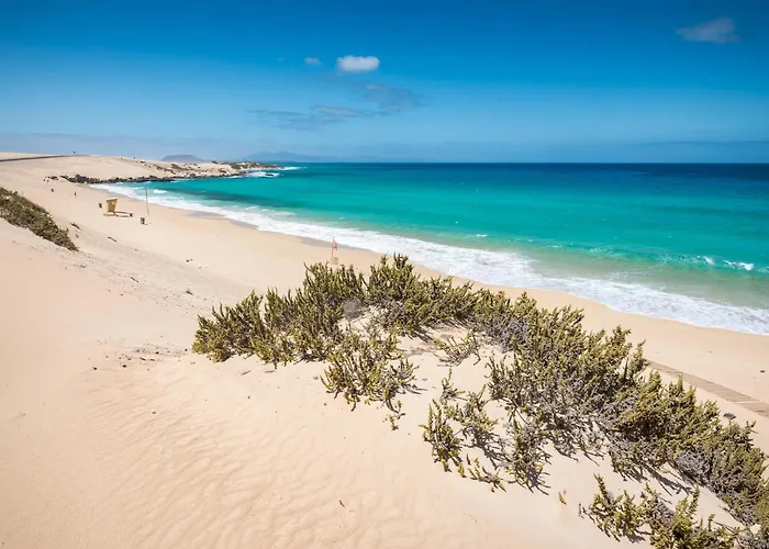 Home2book Modern Near Playa Del Pozo * プエルト・デル・ロサリオ