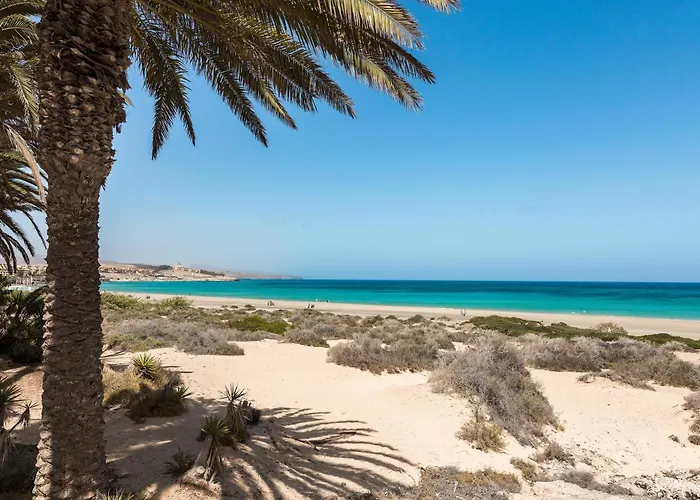 Home2book Modern Near Playa Del Pozo アパート *