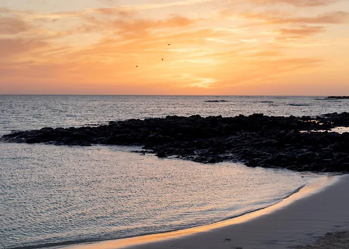 アパート Home2book Modern Near Playa Del Pozo